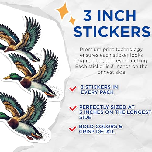 (3 Pack) Mallard Duck Decals - Flying Duck Stickers - Colorful Bird Decals - 3 Inches On Longest Side - Easy Peel & Apply - Made in USA - 3MCS7481