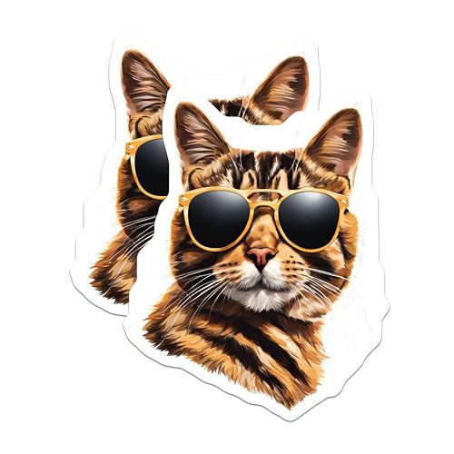 (2 Pack) Cool Cat Sunglasses Stickers - Funny Cat Animal Stickers - Cute Pet Cat Decor Stickers - 5" On Longest Side - Sticks to Any Smooth Flat Surface - Made in USA - BMCS3577