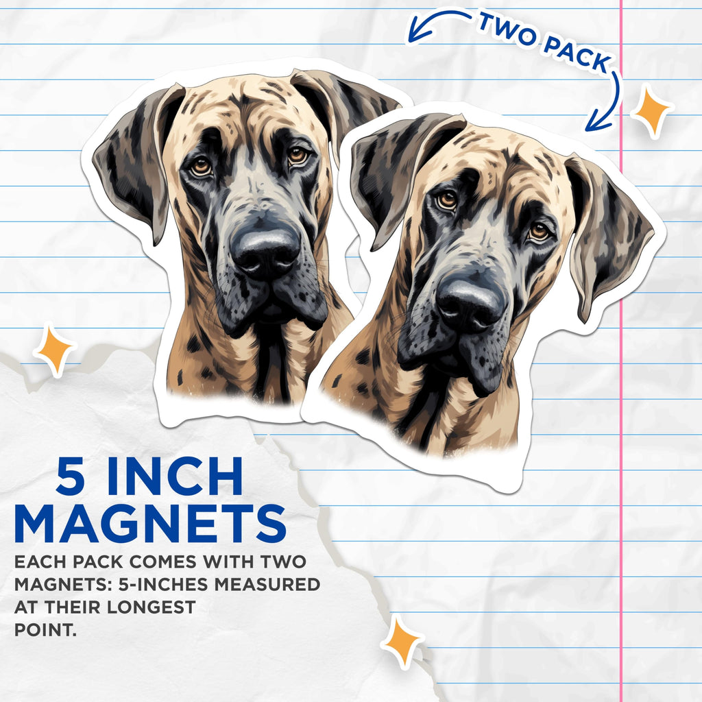 (2 Pack) Great Dane Magnets - Dog Lover Decor - Pet Owner Appreciation - Animal Art for Fridge - 5 Inches On Longest Side - Thick Durable Magnet - Made in USA - MAG26351