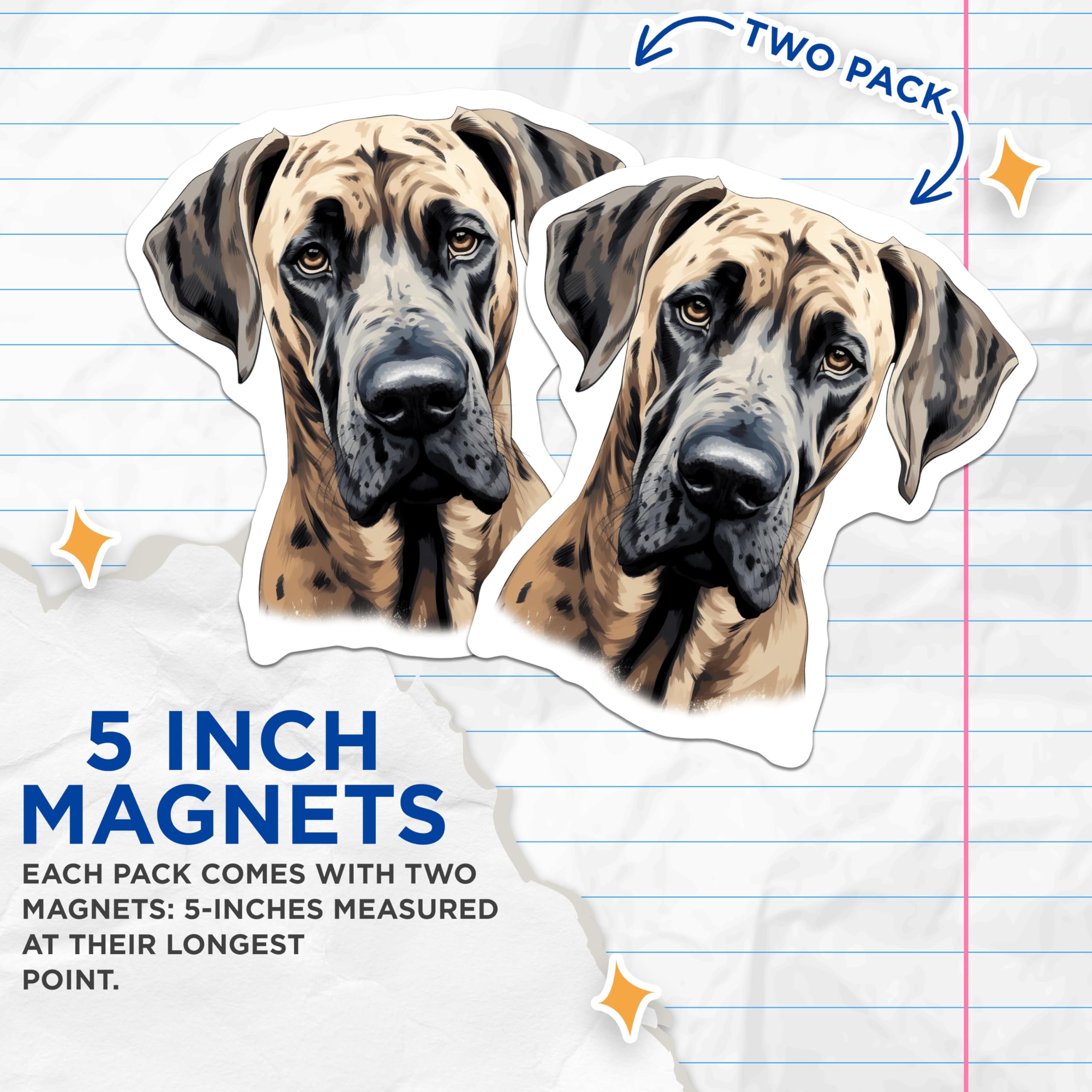 (2 Pack) Great Dane Magnets - Dog Lover Decor - Pet Owner Appreciation - Animal Art for Fridge - 5 Inches On Longest Side - Thick Durable Magnet - Made in USA - MAG26351