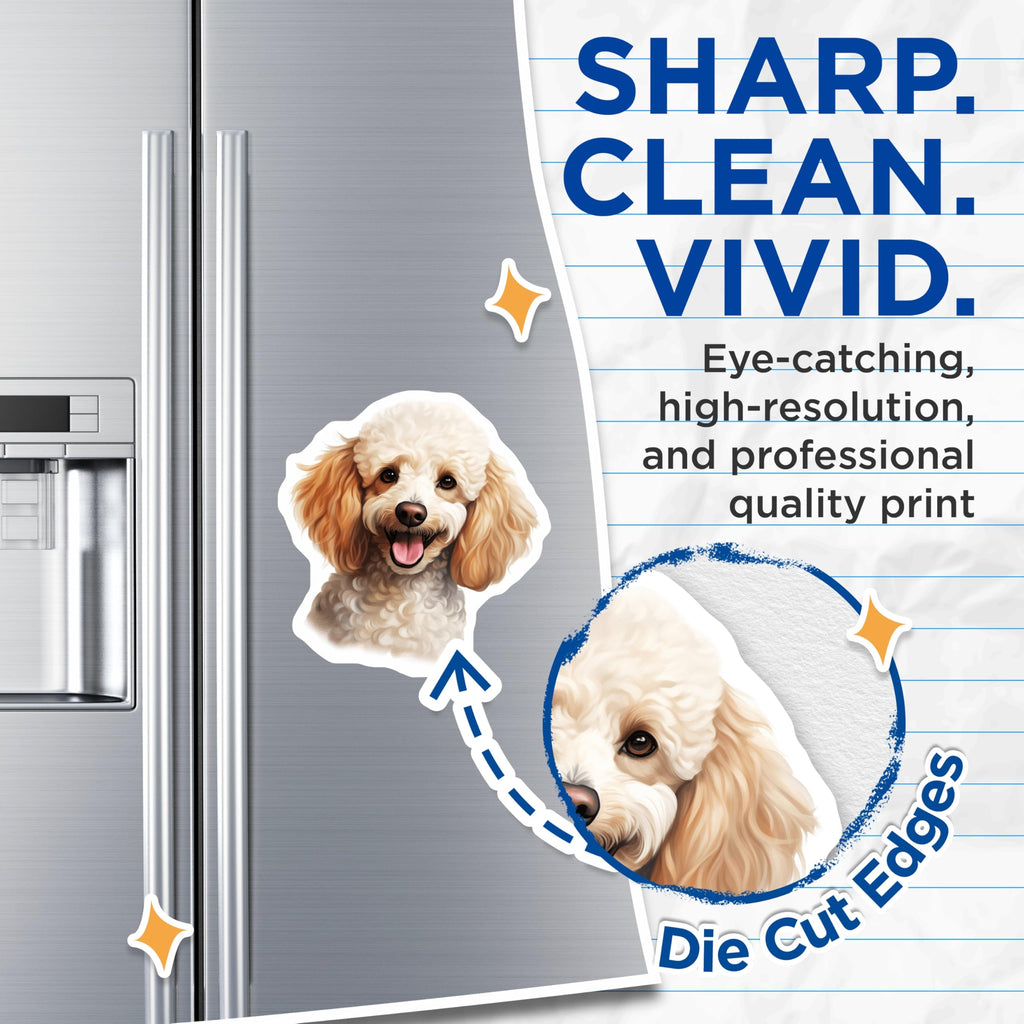 (2 Pack) Happy Poodle Magnets - Adorable Dog Refrigerator Decor - Pet Lover Home Accessories - 5 Inches On Longest Side - Thick Durable Magnet - Made in USA - MAG24959