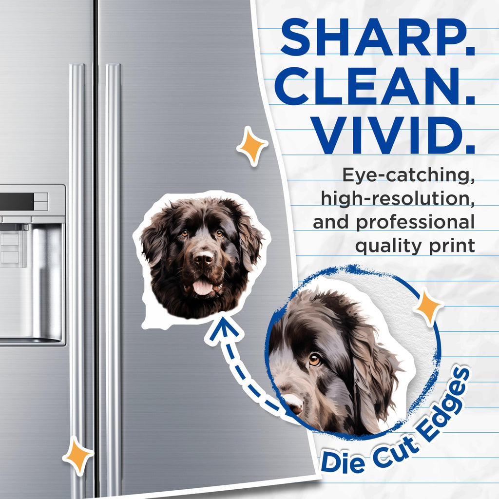 (2 Pack) Newfoundland Dog Magnets - Dog Owner Refrigerator Decor - Large Breed Animal Lover Item - 5 Inches On Longest Side - Thick Durable Magnet - Made in USA - MAG27076