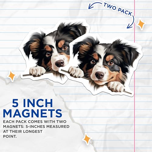 (2 Pack) Pet Lover Home Decor Magnet - 5" On Longest Side - Sticks to Smooth Flat Surfaces - Made in USA - MAG10226