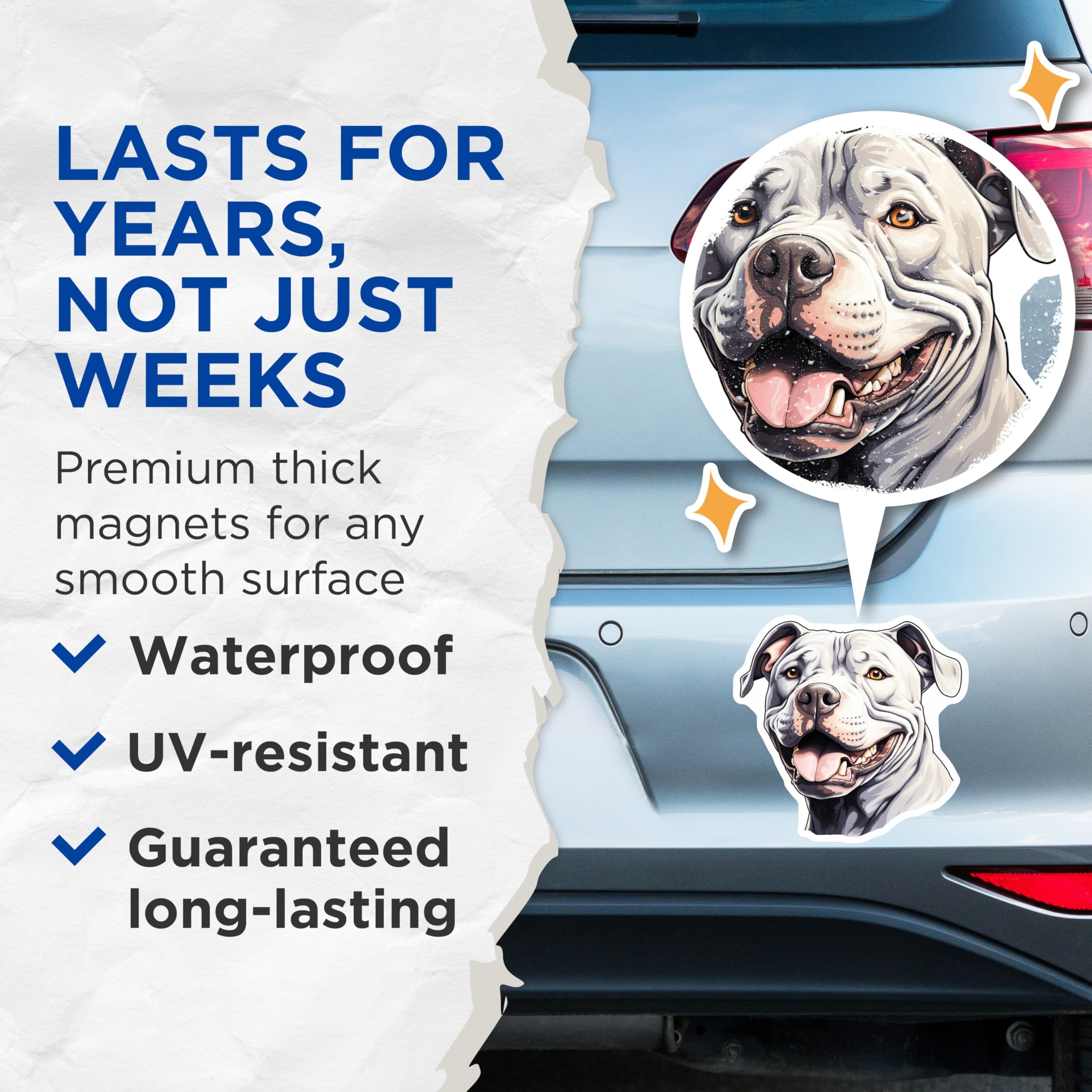 (2 Pack) Pit Bull Magnets - White Canine Lover - Smiling Bully Breed Art - 5 Inches On Longest Side - Thick Durable Magnet - Made in USA - MAG25682