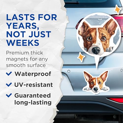 (2 Pack) Cute Pet Decor Magnet - Animal Lover's Delight - 5" On Longest Side - Sticks to Smooth Flat Surfaces - Made in USA - MAG9852