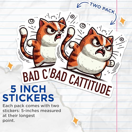 (2 Pack) Bad Cattitude Stickers - Angry Cat - Funny Cat Meme - 5" On Longest Side - Sticks to Smooth Flat Surfaces - Made in USA - BMCS5957