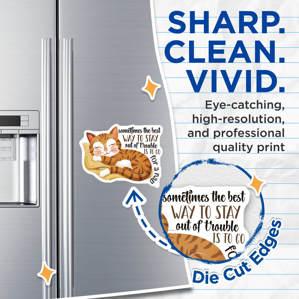 (2 Pack) Cat Nap Quote Magnets - Sleeping Kitty Fridge Decor - Funny Saying Animal Lover Item - 5 Inches On Longest Side - Thick Durable Magnet - Made in USA - MAG36795