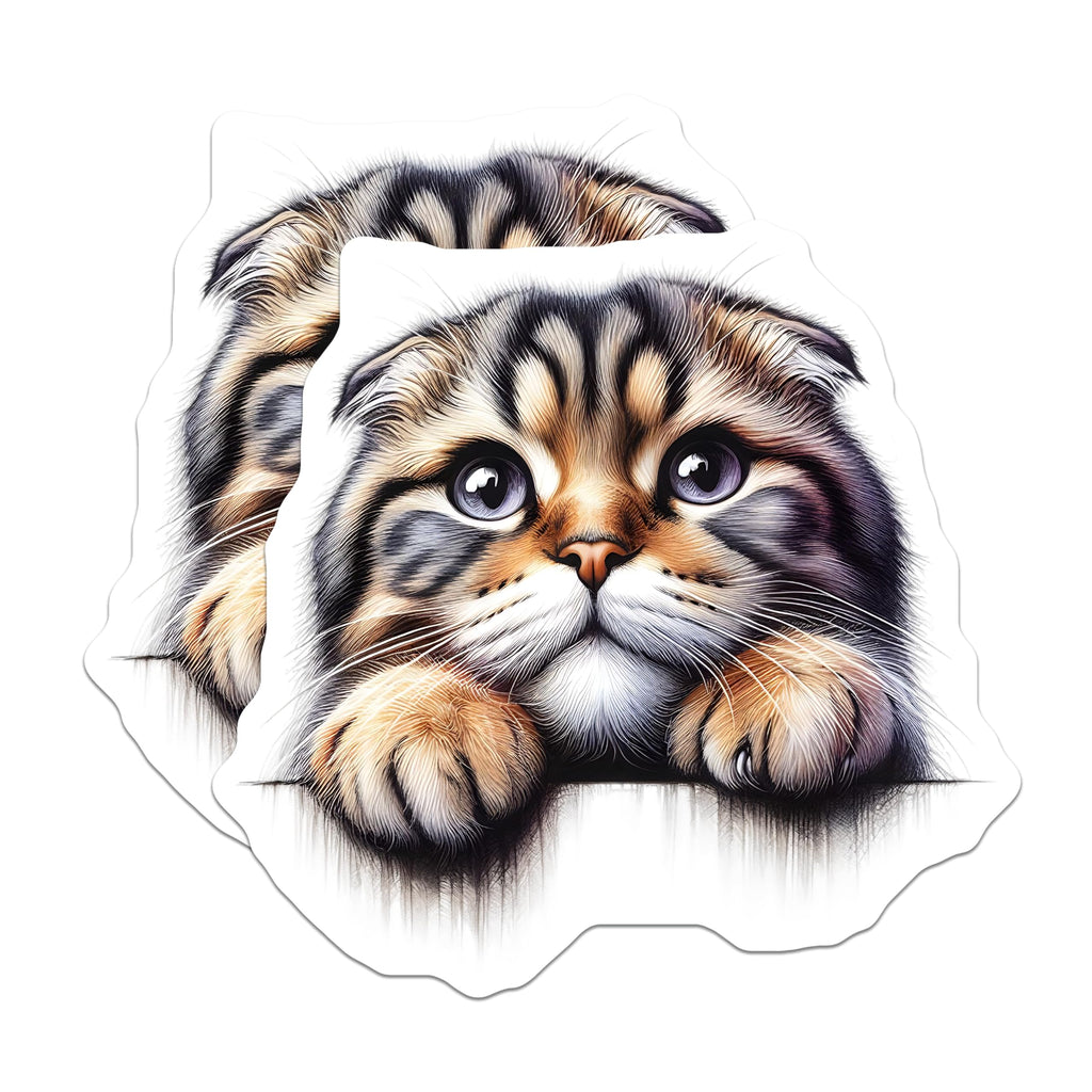 (2 Pack) Scottish Fold Cat Stickers - Cute Kitten Decals - Whimsical Feline Art - 5" On Longest Side - Sticks to Smooth Flat Surfaces - Made in USA - BMCS15088