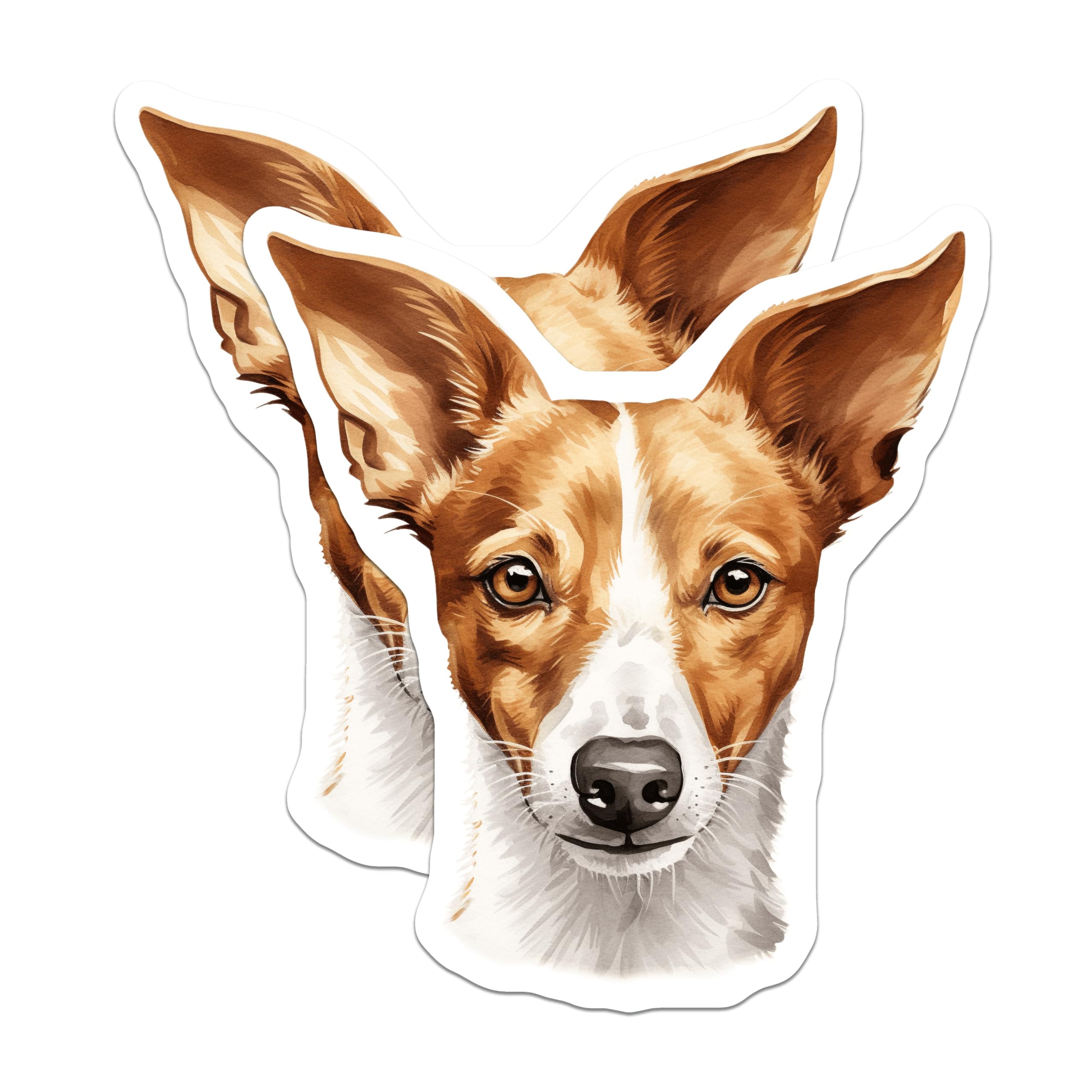 (2 Pack) Jack Russell Terrier Magnets - Dog Lover Decor - Pet Fridge Magnets - 5 Inches On Longest Side - Thick Durable Magnet - Made in USA - MAG26405