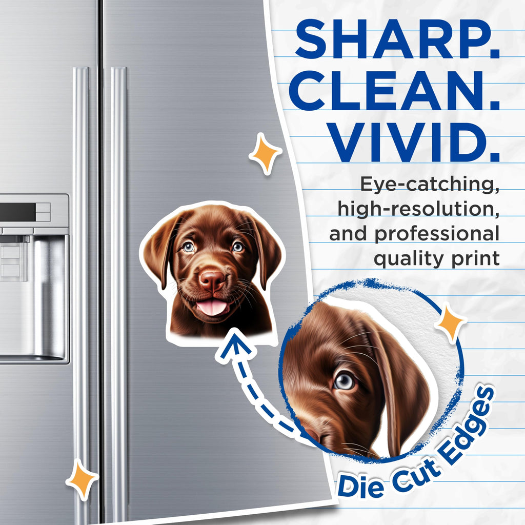 (2 Pack) Chocolate Lab Puppy Magnets - Dog Lover Kitchen Decor - Cute Puppy Enthusiast Accessory - 5 Inches On Longest Side - Thick Durable Magnet - Made in USA - MAG26117