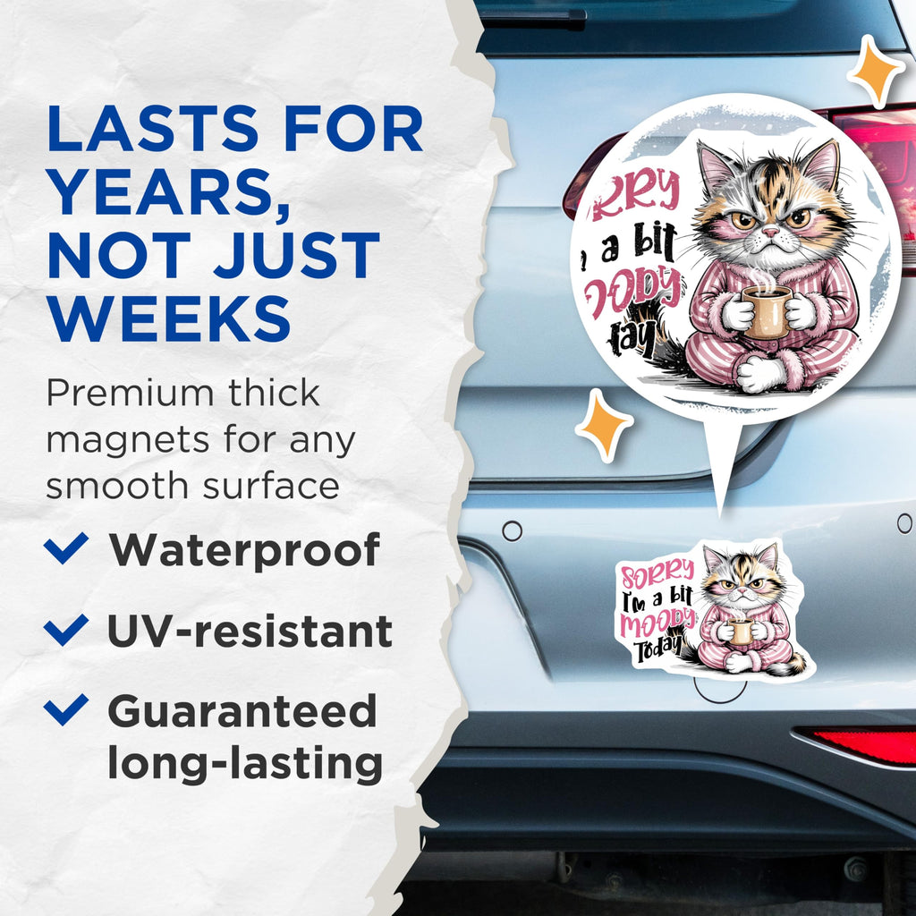 (2 Pack) Moody Cat Magnets - Funny Kitten Fridge Decor - Grumpy Cat Lover Gifts - 5" On Longest Side - Premium Magnet - for Cars, Refrigerators, Toolboxes, Lockers - Made in USA - MAG14436