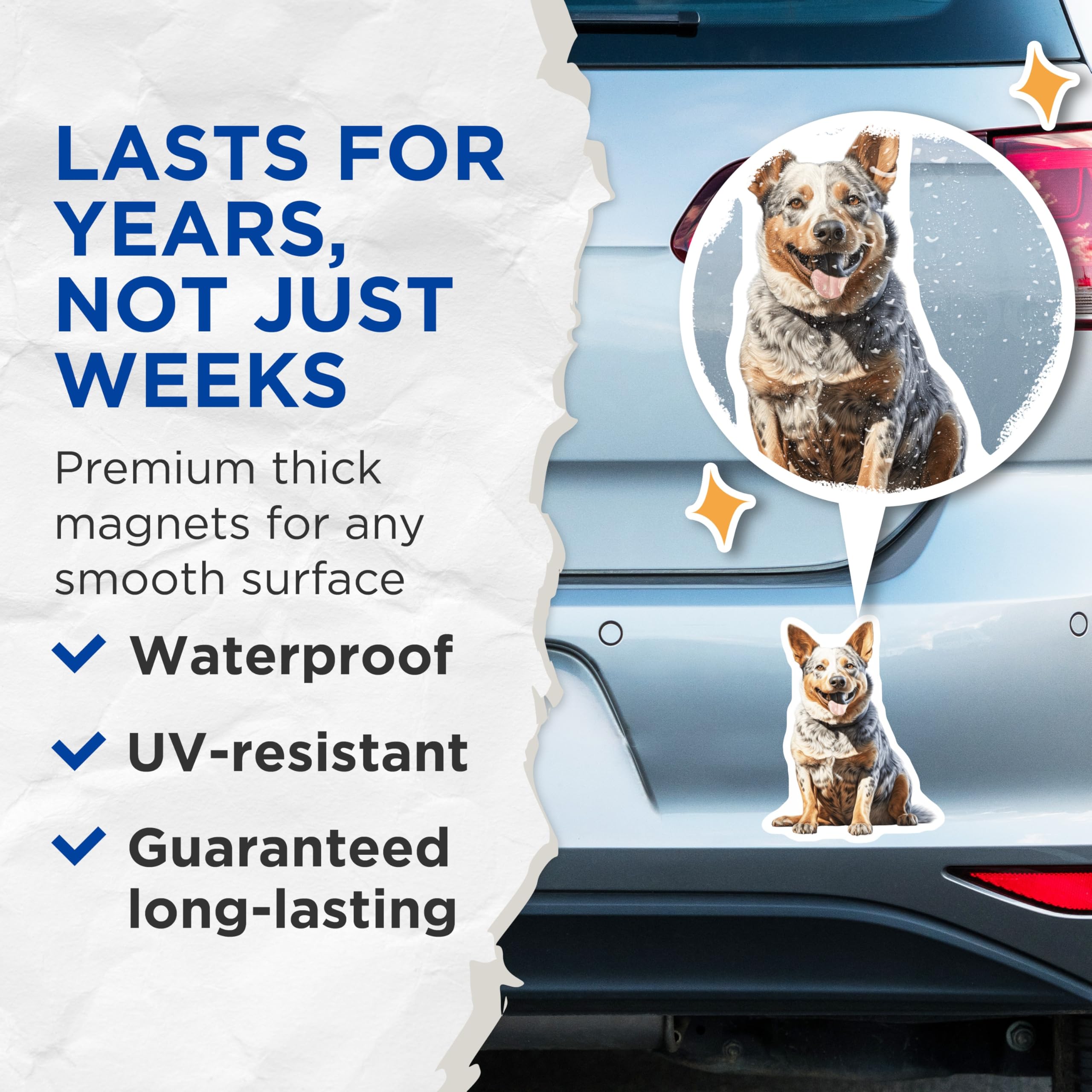 (2 Pack) Australian Cattle Dog Magnets - Blue Heeler Dog Lover - Pet Owner Kitchen Decor - 5 Inches On Longest Side - Thick Durable Magnet - Made in USA - MAG30139