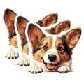 (3 Pack) Corgi Decals - Cute Dog Stickers - Laptop Decals - 3 Inches On Longest Side - Easy Peel & Apply - Made in USA - 3MCS8688