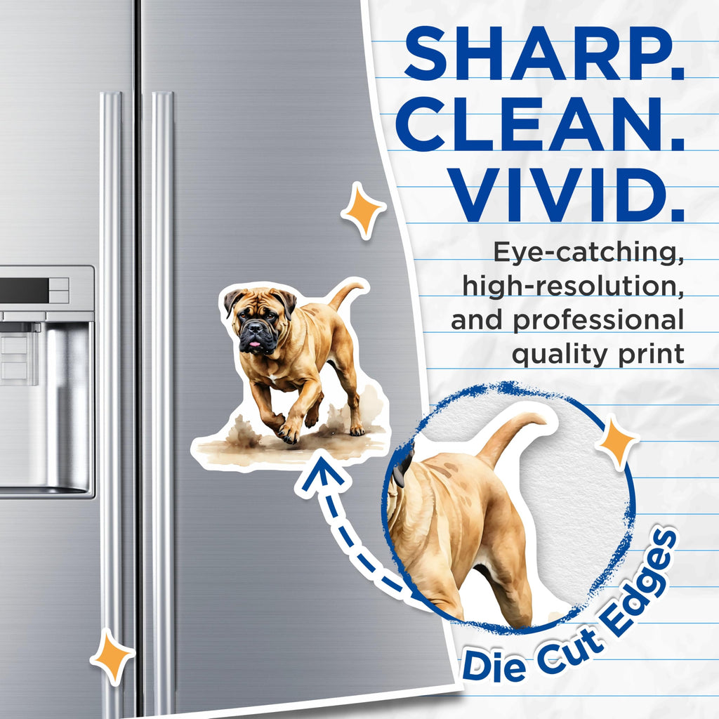 (2 Pack) Bullmastiff Magnets - Dog Breed Decor - Refrigerator Magnets - 5" On Longest Side - Premium Magnet - for Cars, Refrigerators, Toolboxes, Lockers - Made in USA - MAG14746