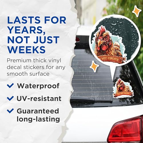 (2 Pack) Funny Chicken Stickers - I'm Not Chicken Decal - Eggstra Intimidating Rooster Stickers - 5" On Longest Side - Sticks to Any Smooth Flat Surface - Made in USA - BMCS2600