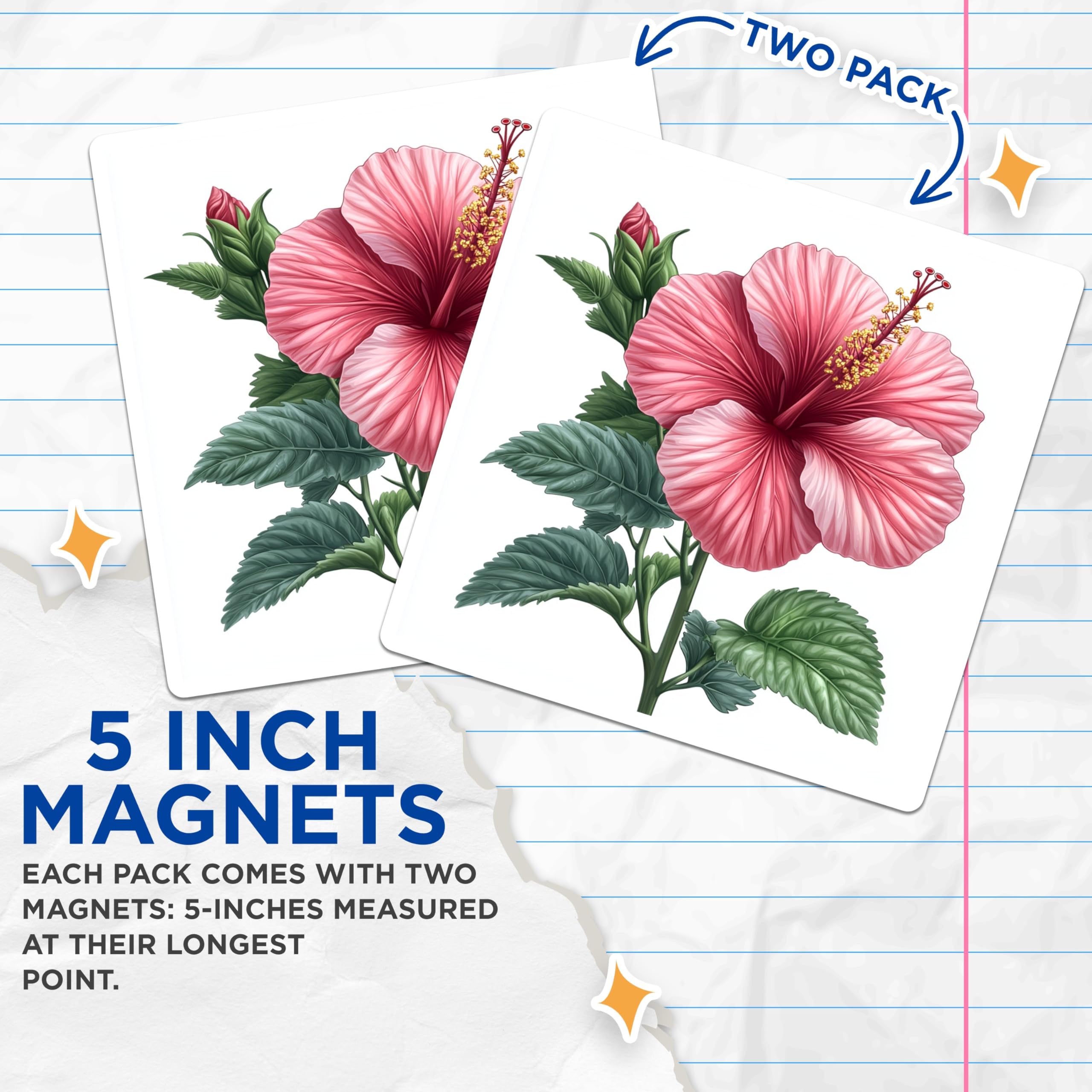 (2 Pack) Pink Hibiscus Flower Magnets - Tropical Floral Decor - Refrigerator Locker Accent - 5 Inches On Longest Side - Thick Durable Magnet - Made in USA - MAG28910