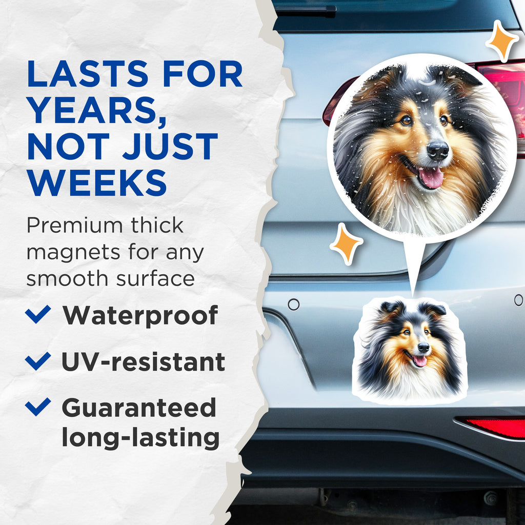 (2 Pack) Shetland Sheepdog Magnets - Collie Breed Art - Dog Mom Accessories - Pet Parent Decor - 5 Inches On Longest Side - Thick Durable Magnet - Made in USA - MAG39618