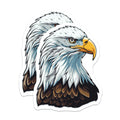 (2 Pack) Bald Eagle Head Magnets - American Wildlife Symbol - Patriotic Home Decor - 5 Inches On Longest Side - Thick Durable Magnet - Made in USA - MAG36346