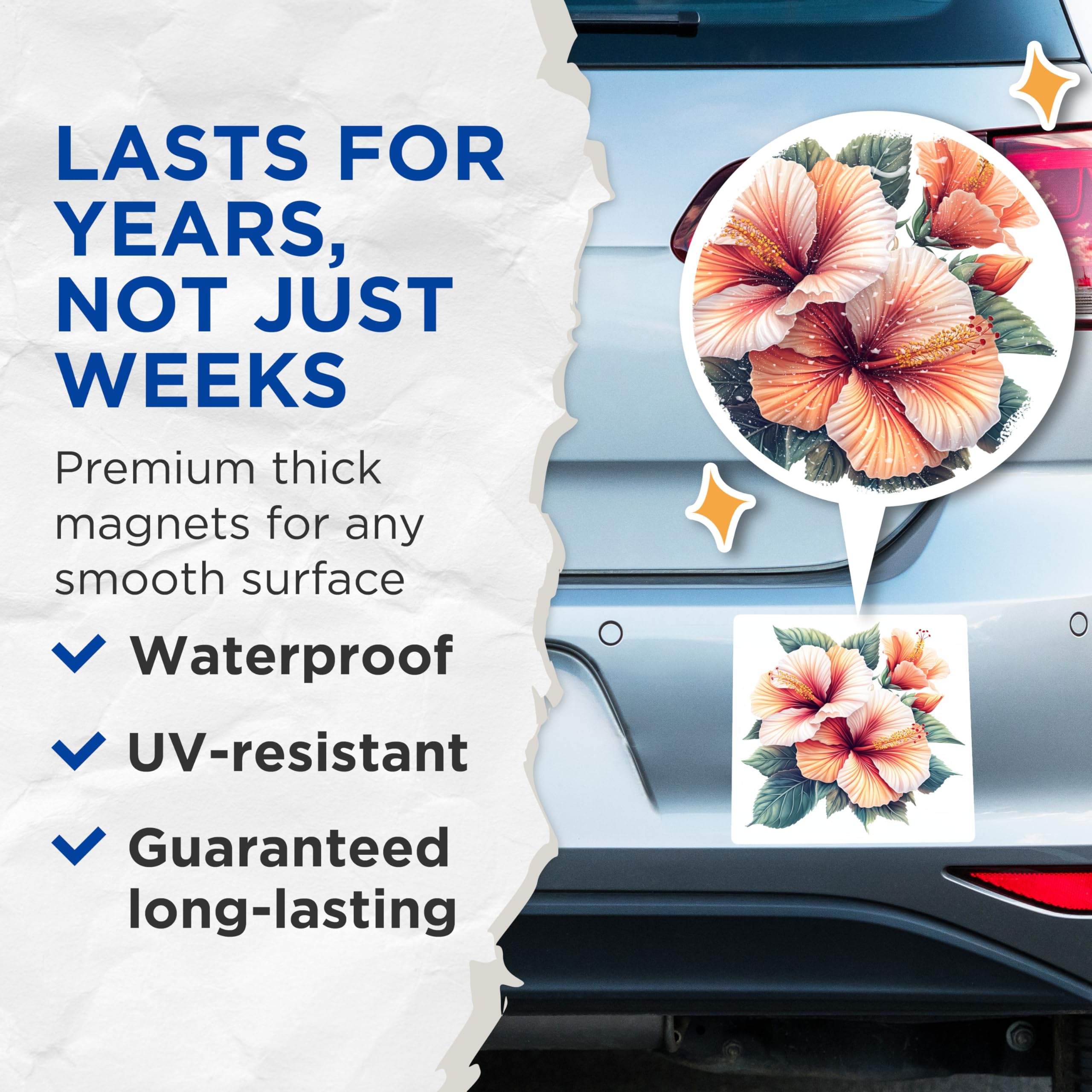 (2 Pack) Hibiscus Flower Magnets - Tropical Floral - Vibrant Kitchen Decor - 5 Inches On Longest Side - Thick Durable Magnet - Made in USA - MAG30462