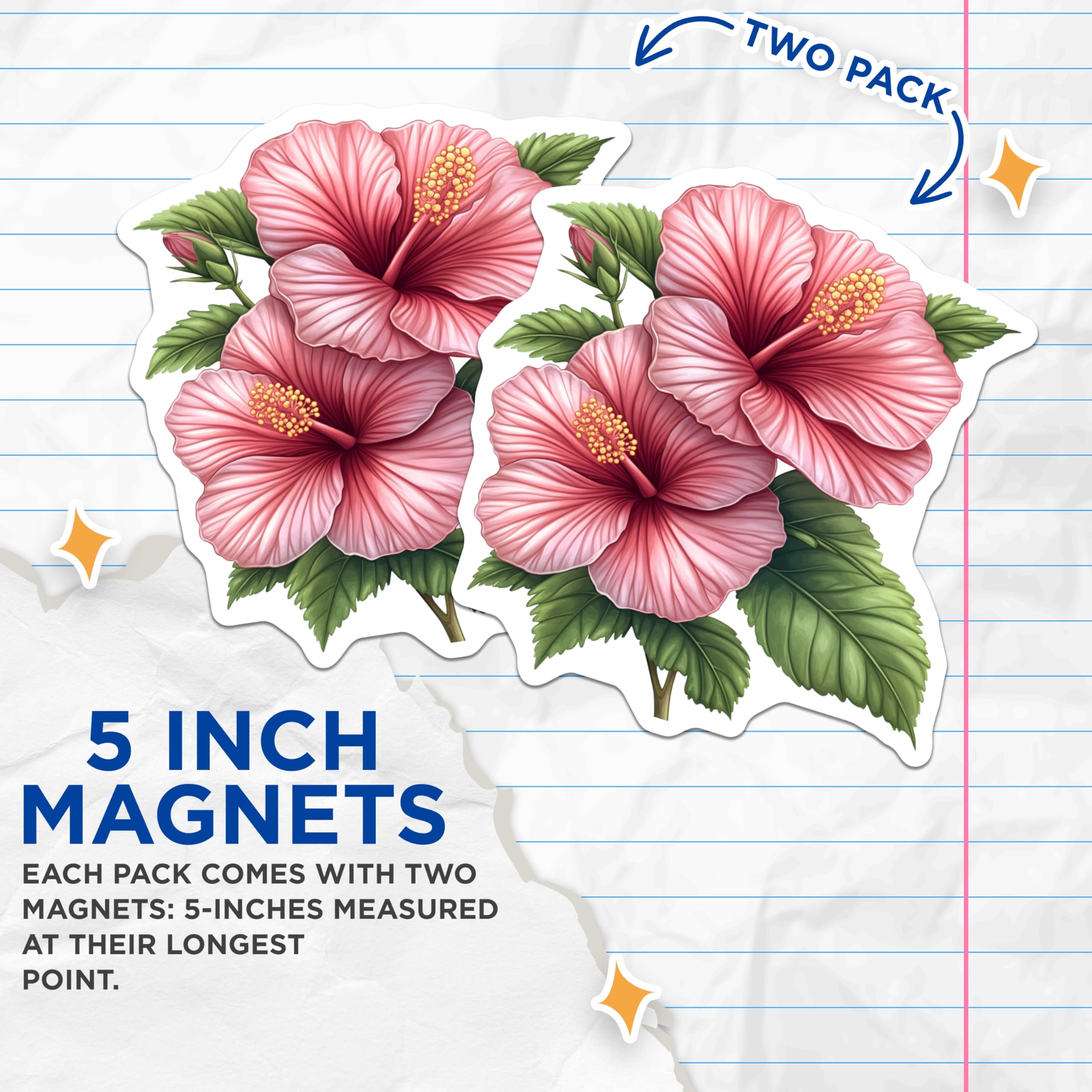 (2 Pack) Pink Hibiscus Flower Magnets - Tropical Floral Decor - Summer Botanical Art - Hawaiian Bloom Refrigerator Decoration - 5 Inches On Longest Side - Thick Durable Magnet - Made in USA - MAG24840