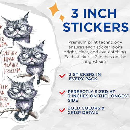 (3 Pack) Grumpy Cat Decals - Funny Cat Stickers - Another Human Problem Sticker - 3 Inches On Longest Side - Easy Peel & Apply - Made in USA - 3MCS7327