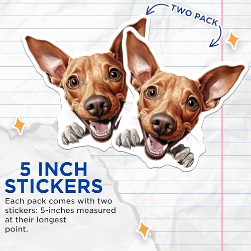 (2 Pack) Cute Dog Stickers - Puppy Face Decal - Funny Pet Sticker for Laptops - 5" On Longest Side - Sticks to Smooth Flat Surfaces - Made in USA - BMCS9935