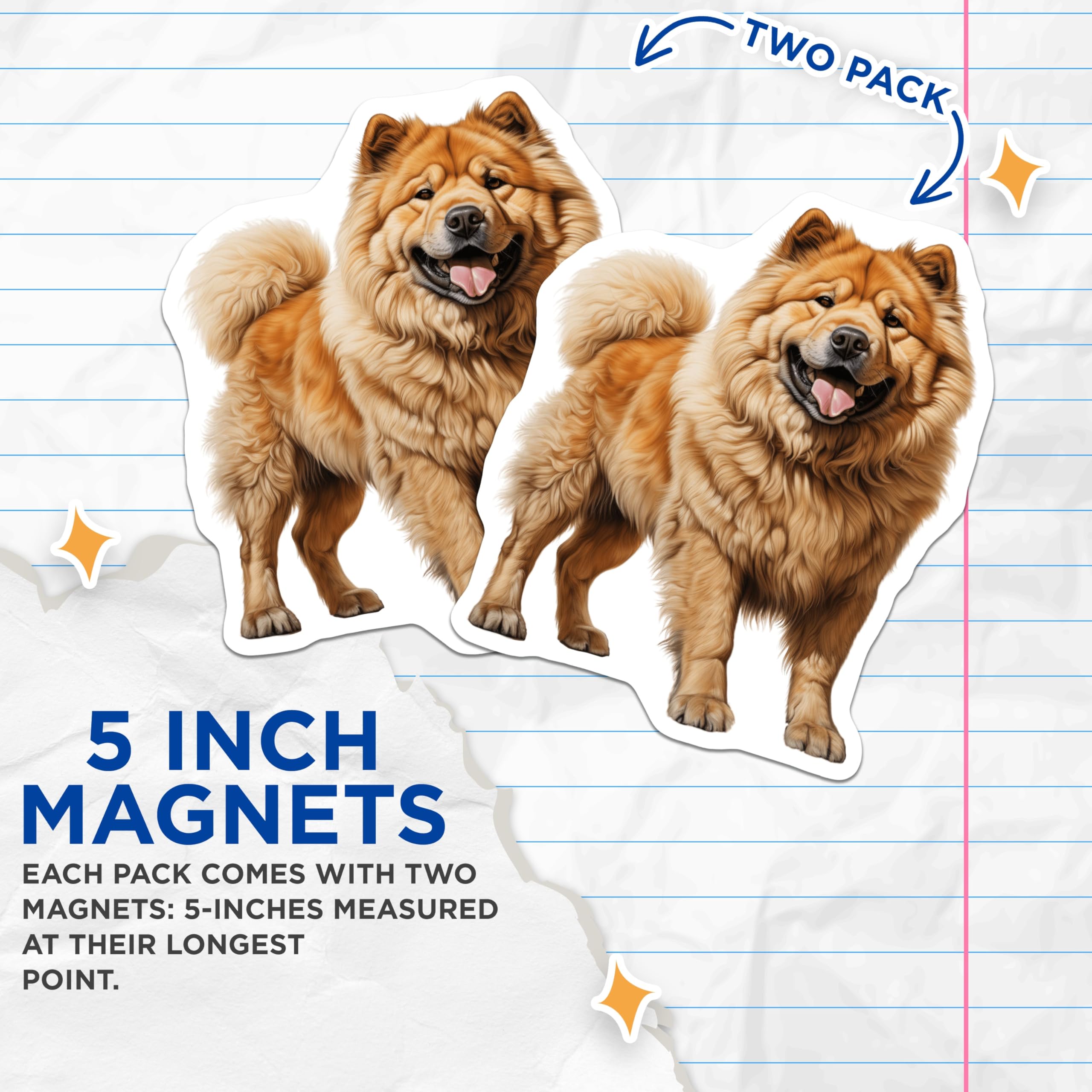 (2 Pack) Chow Chow Dog Magnets - Majestic Fluffy Canine - Pet Owner Kitchen Locker Decoration - 5 Inches On Longest Side - Thick Durable Magnet - Made in USA - MAG24351
