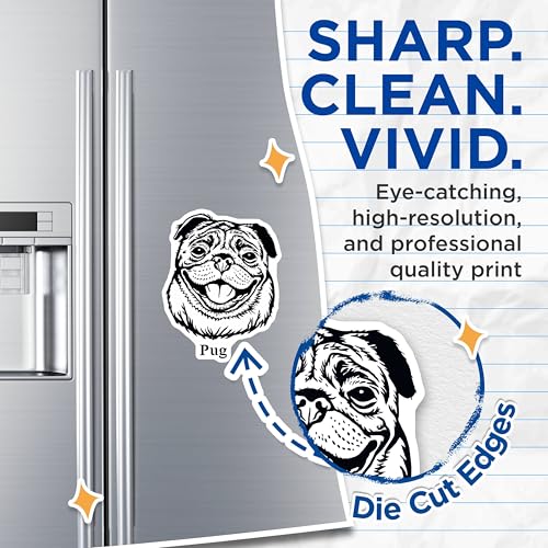 (2 Pack) Pug Dog Magnets - Adorable Dog Lover Magnet - Cute Puppy Refrigerator Magnets - 5" On Longest Side - for Cars, Fridges, Toolboxes - Made in USA - MAG4019