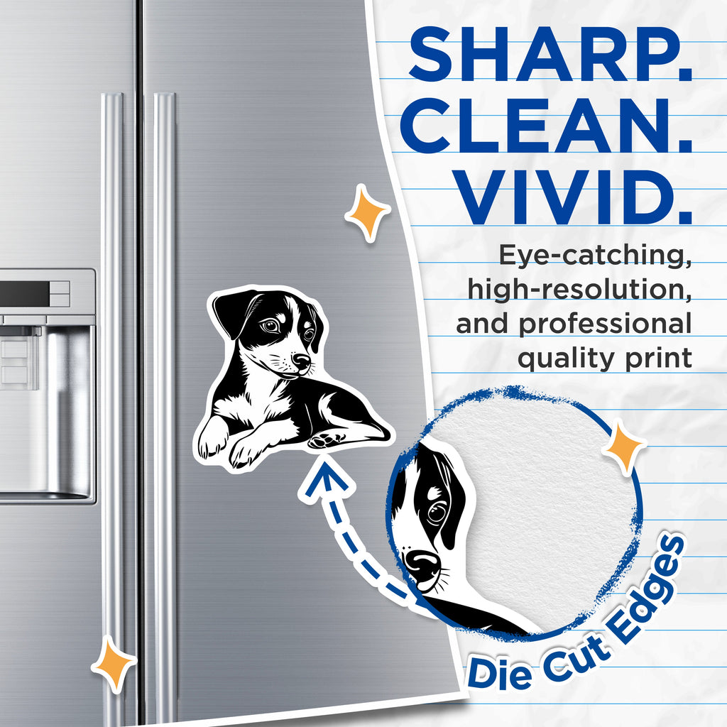 (2 Pack) Cute Puppy Dog Magnets - Black White Pet Lover Decor - Animal Fridge Accessories - 5 Inches On Longest Side - Thick Durable Magnet - Made in USA - MAG39869