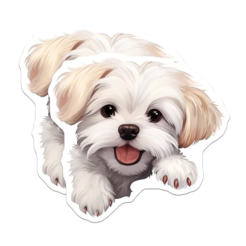 (2 Pack) Adorable Pet Lover Decor Magnet - 5" On Longest Side - Sticks to Smooth Flat Surfaces - Made in USA - MAG10222