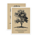 (2 Pack) Kansas Magnets - Cottonwood Tree - State Tree Magnets - 5" On Longest Side - Premium Magnet - for Cars, Refrigerators, Toolboxes, Lockers - Made in USA - MAG18590