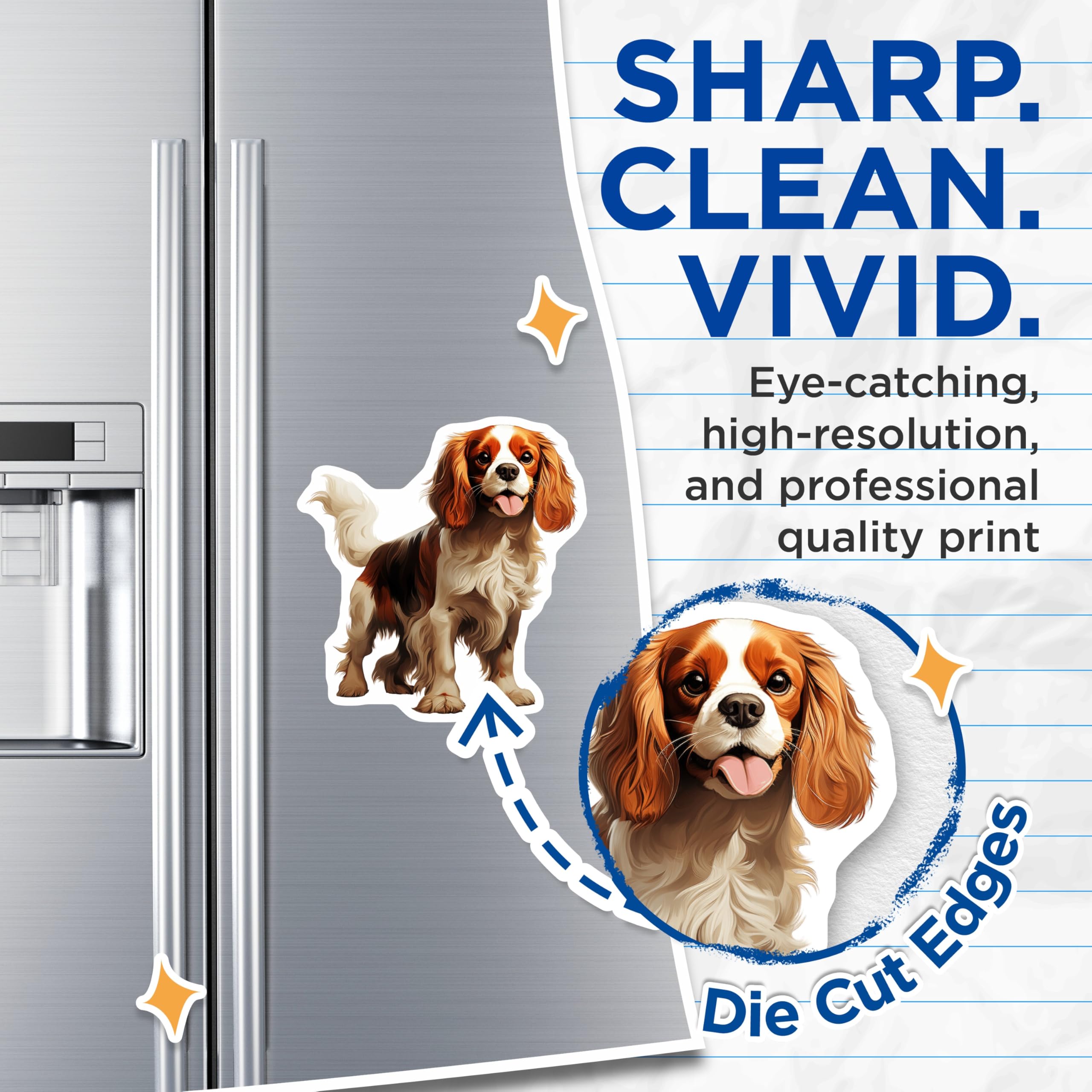 (2 Pack) Cavalier King Charles Spaniel Magnets - Dog Mom Decor - Pet Lover Accessories - 5 Inches On Longest Side - Thick Durable Magnet - Made in USA - MAG26336