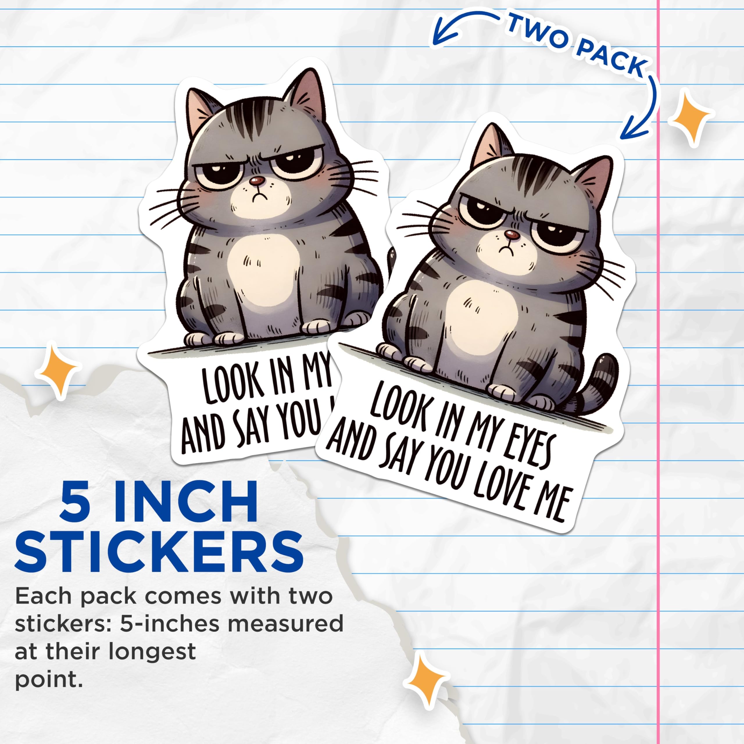 (2 Pack) Look in My Eyes and Say You Love Me Stickers - Grumpy Cat Meme Stickers - Funny Cat Quote Stickers - 5" On Longest Side - Sticks to Any Smooth Flat Surface - Made in USA - BMCS3129