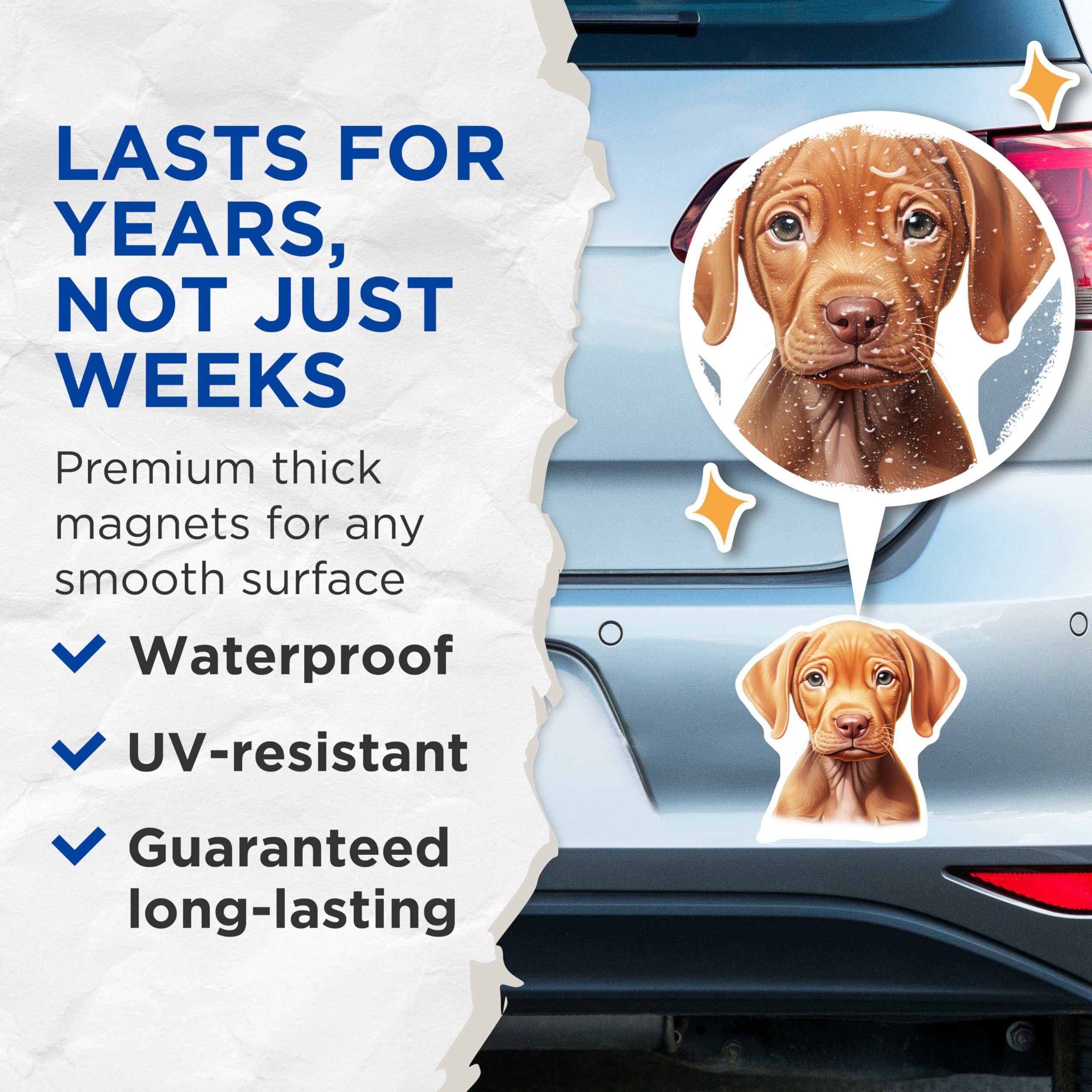 (2 Pack) Vizsla Puppy Magnets - Cute Dog Breed Art - Pet Lover Refrigerator Decor - 5 Inches On Longest Side - Thick Durable Magnet - Made in USA - MAG26937
