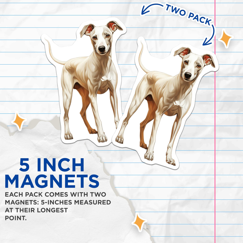 (2 Pack) Italian Greyhound Magnets - Whippet Dog Art - Sighthound Pet Decor - Animal Lover Fridge Accent - 5 Inches On Longest Side - Thick Durable Magnet - Made in USA - MAG27322