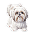 (2 Pack) Cute Shih Tzu Puppy Magnets - Dog Lover Decor - Pet Parent Refrigerator Art - 5 Inches On Longest Side - Thick Durable Magnet - Made in USA - MAG37213