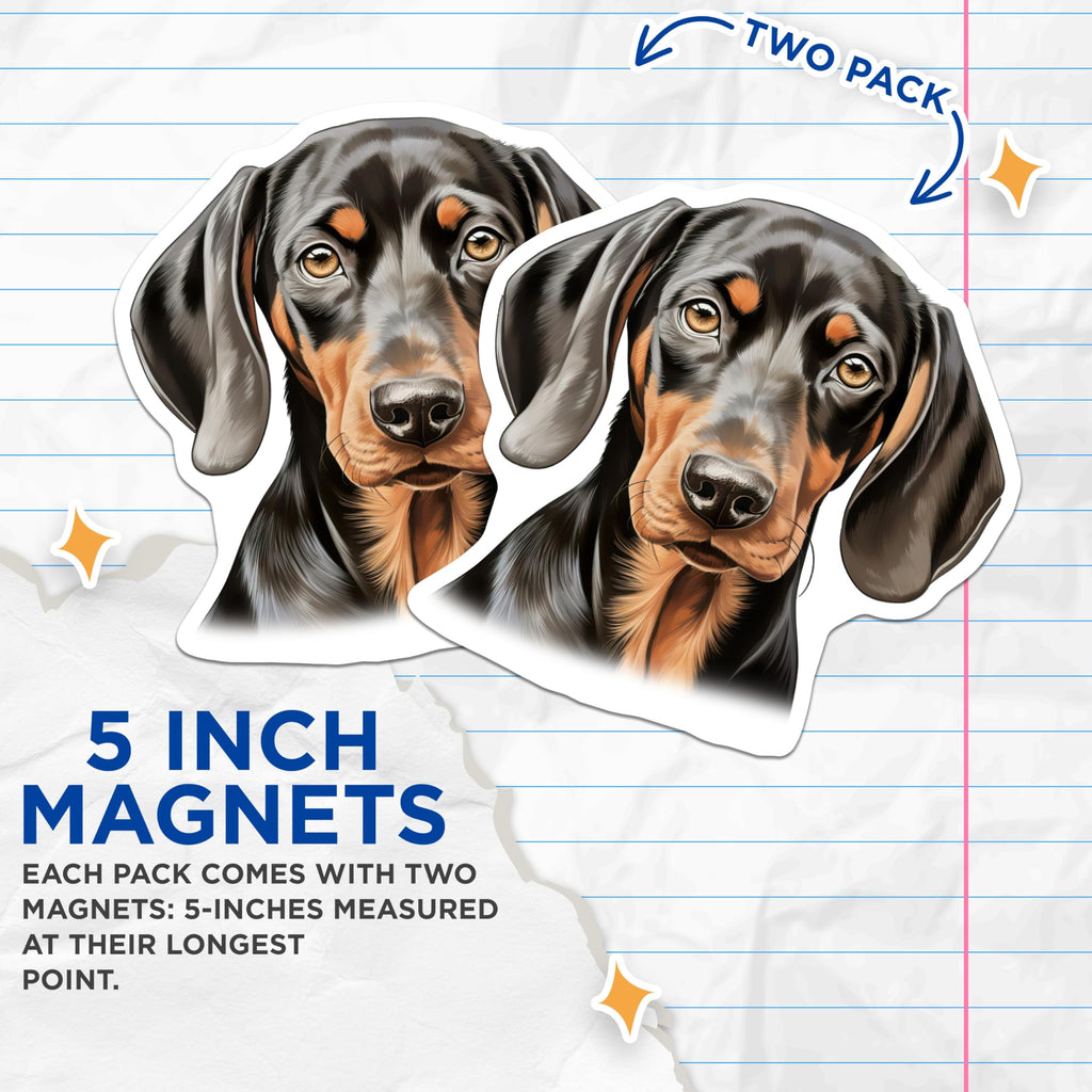 (2 Pack) Black and Tan Dachshund Magnets - Dog Lover Decoration - Pet Animal Accent - 5 Inches On Longest Side - Thick Durable Magnet - Made in USA - MAG24801