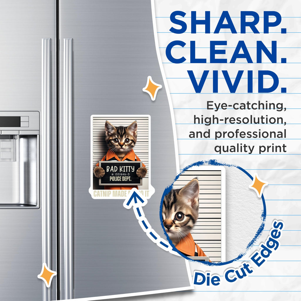 (2 Pack) Bad Kitty Mugshot Magnets - Funny Catnip Made Me Do It - Cute Kitten Refrigerator Decor - Tabby Cat Lover Items - 5 Inches On Longest Side - Thick Durable Magnet - Made in USA - MAG22845