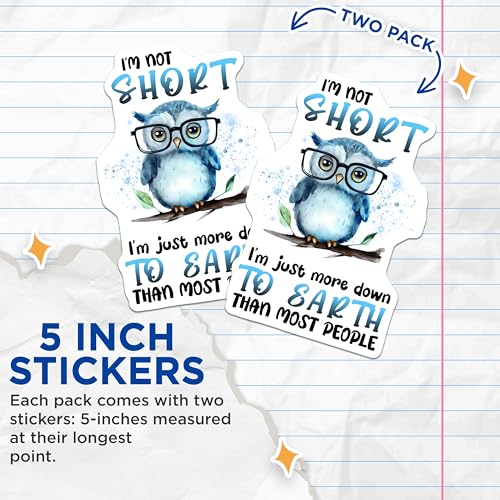(2 Pack) Funny Owl Stickers - Cute Animal - Pun for Laptops and Water Bottles - 5" On Longest Side - Sticks to Smooth Flat Surfaces - Made in USA - BMCS7722
