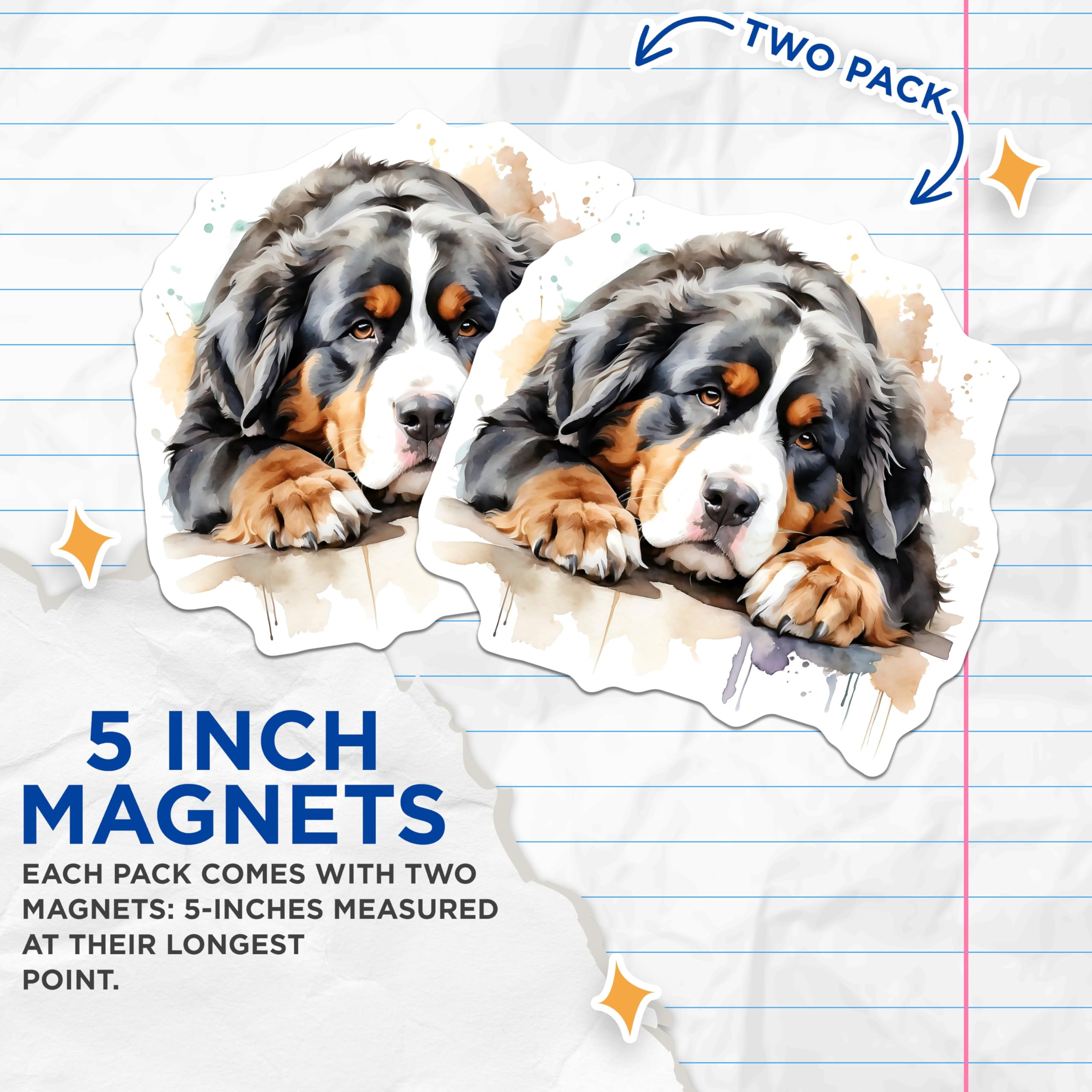 (2 Pack) Bernese Mountain Dog Magnets - BMD Refrigerator Decor - Canine Lover Souvenir - 5" On Longest Side - Premium Magnet - for Cars, Refrigerators, Toolboxes, Lockers - Made in USA - MAG15651