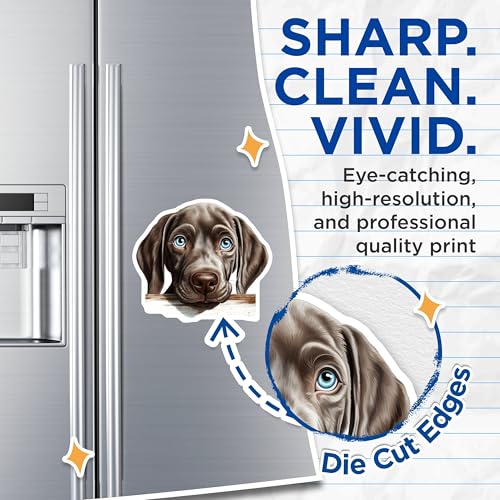 (2 Pack) Puppy Face Magnet - Animal Lover Decor - Home Accessories - 5" On Longest Side - Sticks to Smooth Flat Surfaces - Made in USA - MAG10331