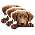 (3 Pack) Chocolate Labrador Decals - Cute Puppy Stickers - Dog Breed Decals - 3 Inches On Longest Side - Easy Peel & Apply - Made in USA - 3MCS8691