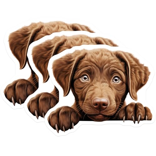 (3 Pack) Chocolate Labrador Decals - Cute Puppy Stickers - Dog Breed Decals - 3 Inches On Longest Side - Easy Peel & Apply - Made in USA - 3MCS8691