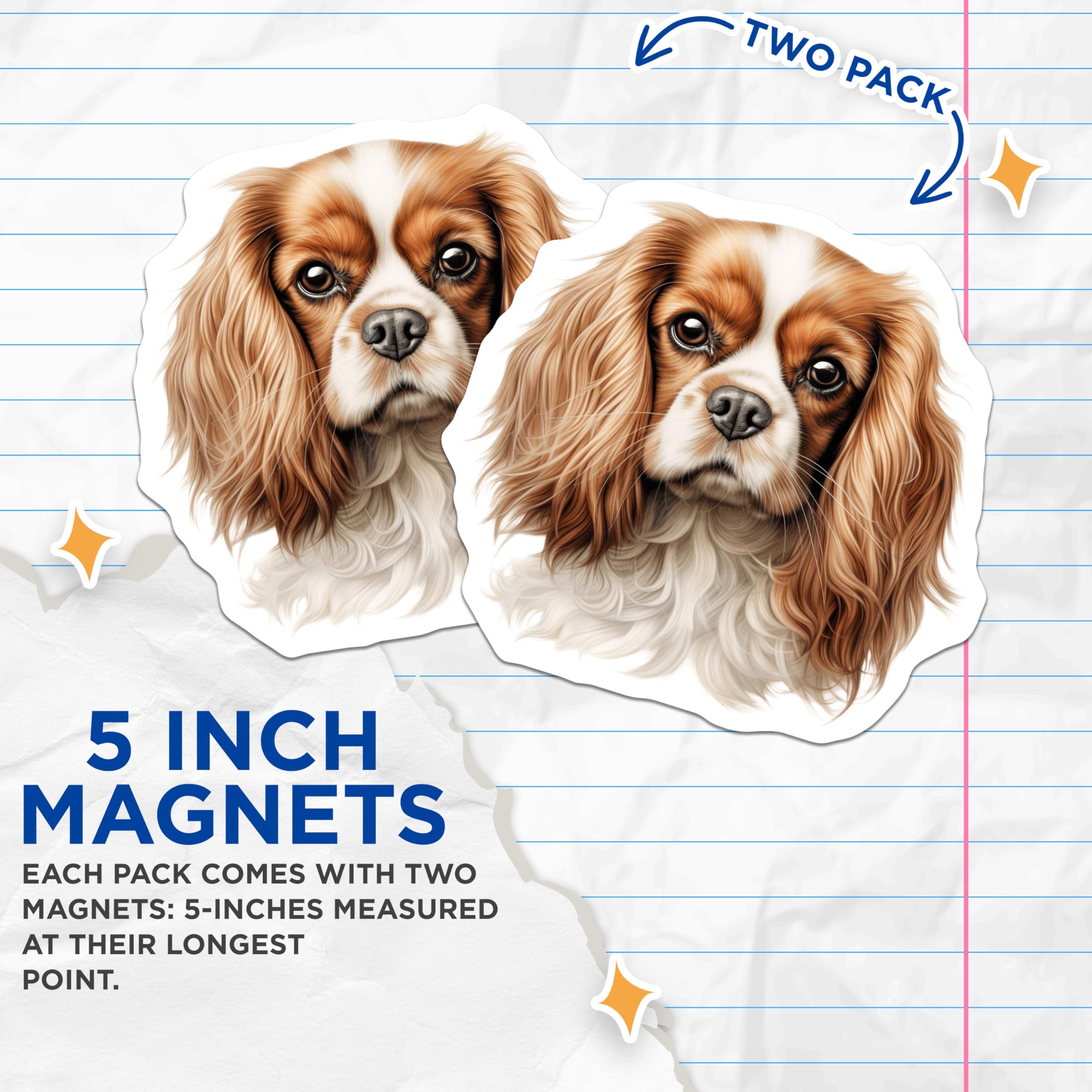 (2 Pack) Cavalier King Charles Spaniel Magnets - Dog Lover Accessory - Pet Owner Kitchen Decor - 5 Inches On Longest Side - Thick Durable Magnet - Made in USA - MAG29611