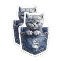(2 Pack) Kitten in Pocket Magnets - Cute Cat Art - Fridge Decor for Pet Lovers - 5" On Longest Side - Premium Magnet - for Cars, Refrigerators, Toolboxes, Lockers - Made in USA - MAG15716