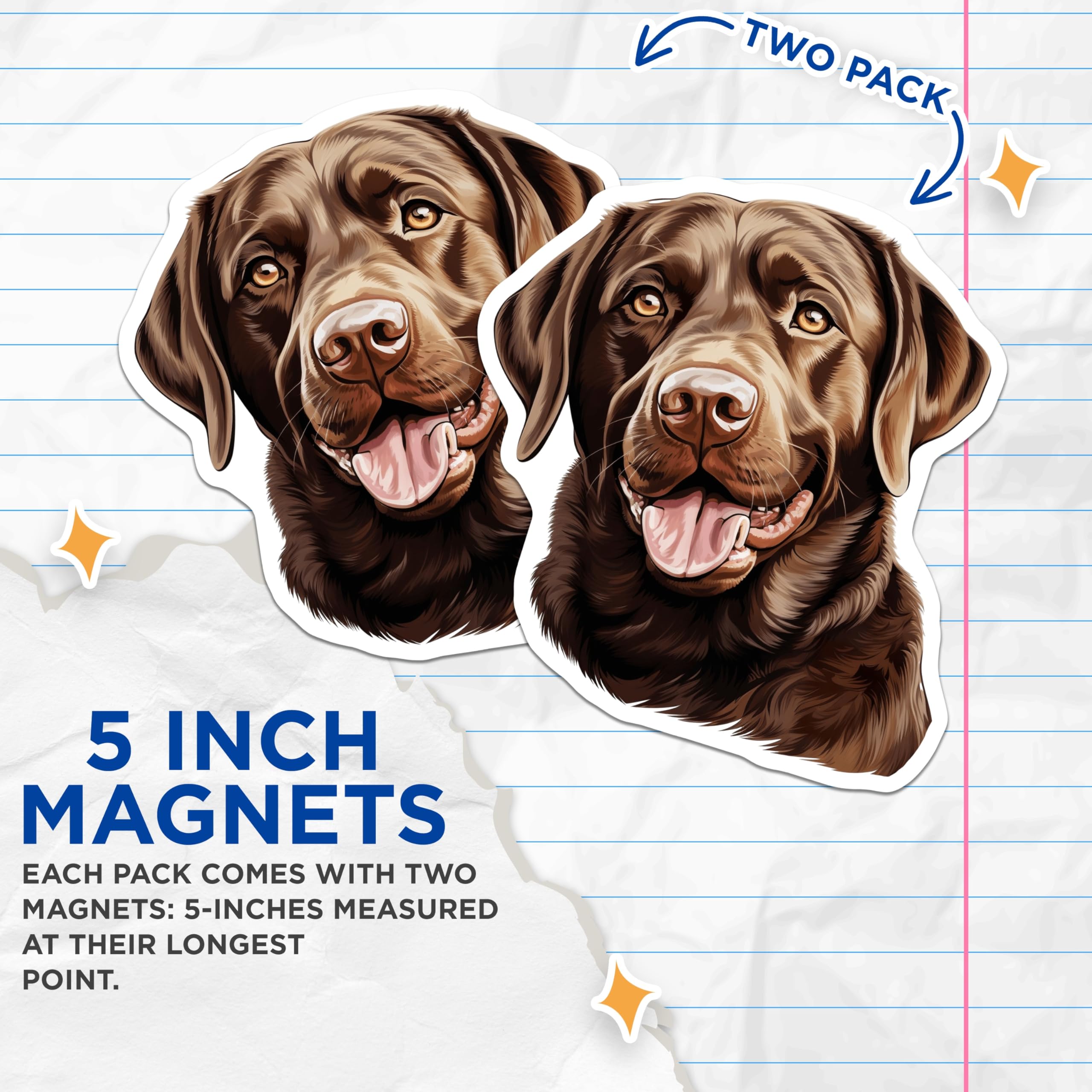(2 Pack) Chocolate Lab Magnets - Labrador Retriever Decor - Dog Mom Dad Present - Pet Lover Kitchen Art - 5 Inches On Longest Side - Thick Durable Magnet - Made in USA - MAG25073