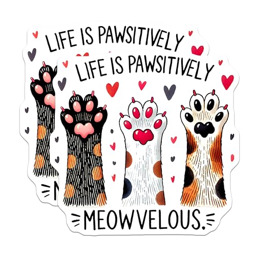(2 Pack) Life is Pawsitively Meowvelous Magnet - Cute Kitchen Decoration - 5" On Longest Side - Sticks to Smooth Flat Surfaces - Made in USA - MAG9632