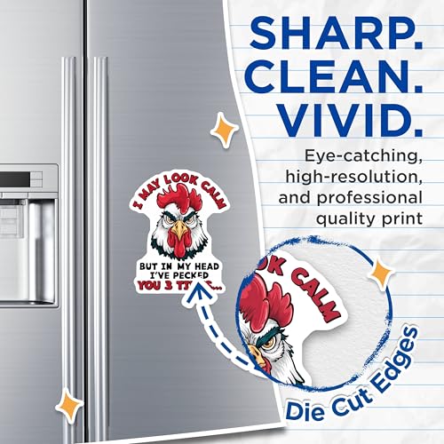 (2 Pack) Funny Chicken Magnets - Farmhouse Kitchen - Animal Quote Magnets - 5" On Longest Side - for Cars, Fridges, Toolboxes - Made in USA - MAG4550
