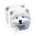 (2 Pack) Fluffy White Puppy Magnets - Cute Samoyed Dog - Pet Lover Decor - 5 Inches On Longest Side - Thick Durable Magnet - Made in USA - MAG28262