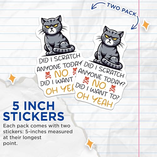(2 Pack) Funny Cat Stickers - Did I Scratch Anyone Today Humor - Cute Pet Pun Decal - 5" On Longest Side - Sticks to Smooth Flat Surfaces - Made in USA - BMCS7348